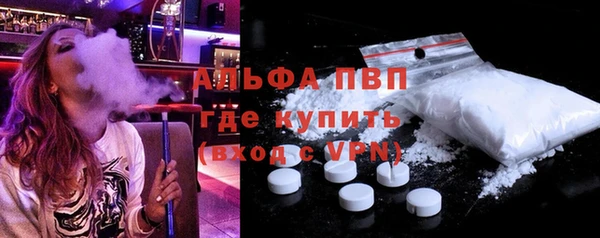 прущие грибы Переславль-Залесский