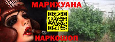 гашик Гусь-Хрустальный