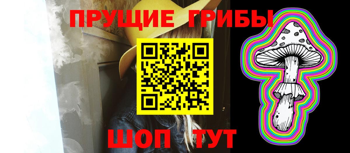 Псилоцибиновые грибы MAGIC MUSHROOMS  Псилоцибиновые грибы GOLDEN TEACHER  Вход с VPN  Тосно 