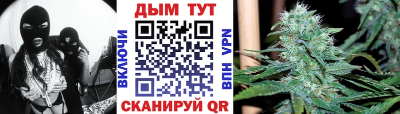 Бошки марихуана Amnesia  купить наркотики цена  Тосно 